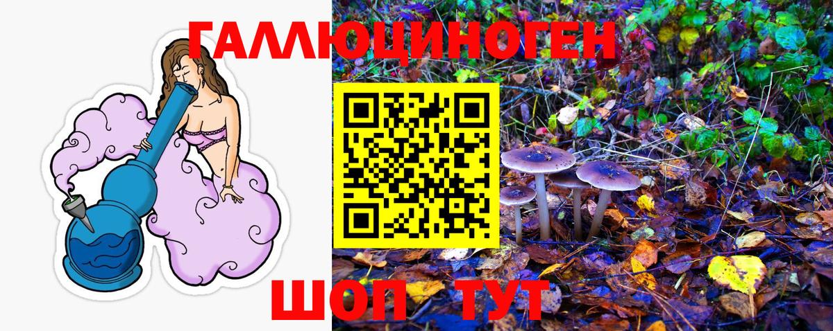 Марихуана Медногорск
