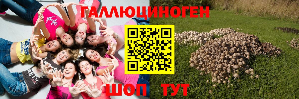 где найти   Псилоцибиновые грибы мицелий  Вход с VPN  Медногорск 