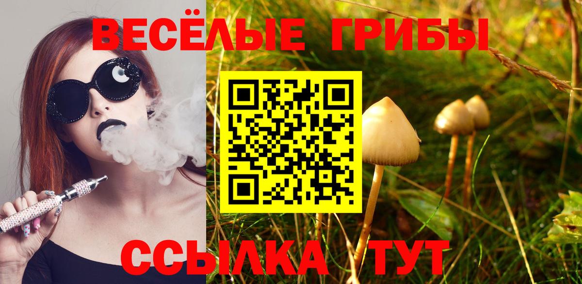 Псилоцибиновые грибы MAGIC MUSHROOMS  Псилоцибиновые грибы Magic Shrooms  Медногорск 